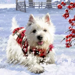 Käthe Wohlfahrt Adventskalender "Hunde-Weihnacht"