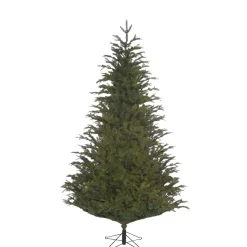 Käthe Wohlfahrt Baum Frasier Fir Grun, 215 Cm