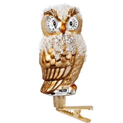 Poesie in Glas Goldene Eule Mit Clip