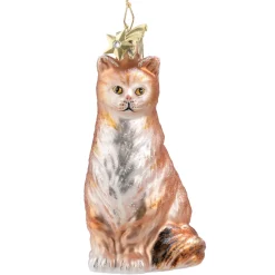 Poesie in Glas Maine Coon Katze