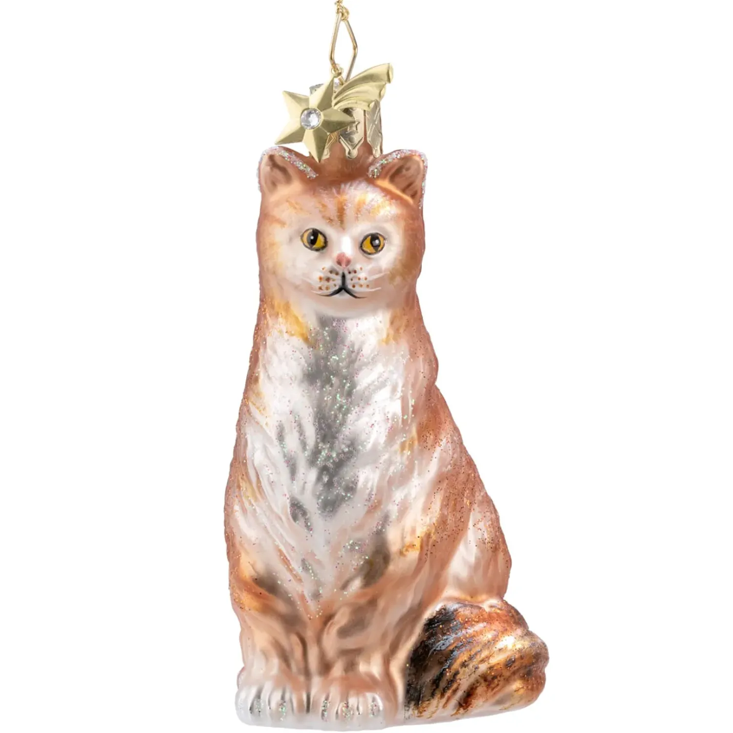 Poesie in Glas Maine Coon Katze