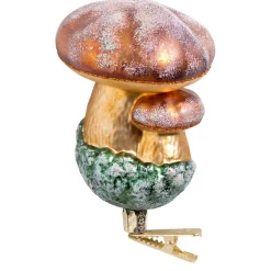 Poesie in Glas Steinpilze Mit Clip