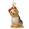 Poesie in Glas Yorkshire Terrier